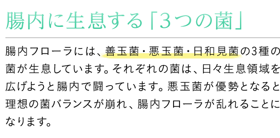 腸内に生息する「３つの菌」