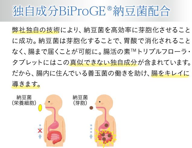 独自成分BiProGE®納豆菌配合