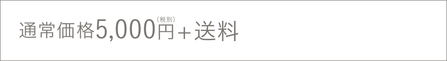 通常価格5,000円+送料