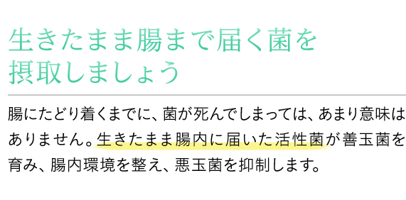 生きたまま腸まで届く菌を摂取しましょう