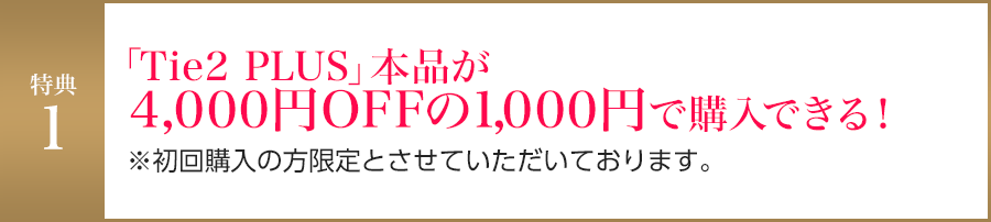 「Tie2 PLUS」本品が4,000円OFFの1,000円で購入できる！