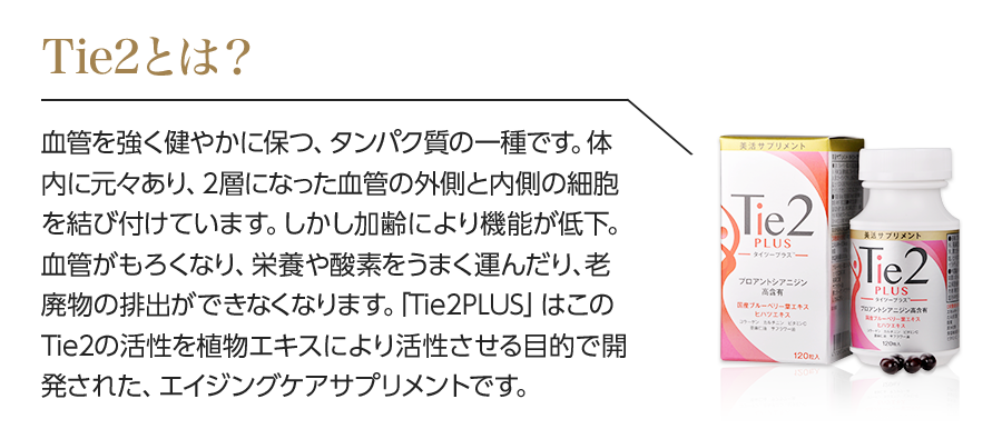 Tie2とは？